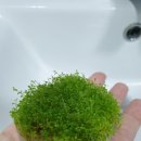 피알이랩 이미지