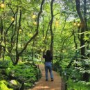 바보들푸드 이미지