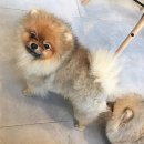 초읍동물병원 이미지