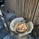 명지애견 이미지