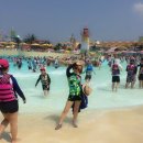 감나무골 물놀이공원 이미지