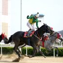 캡틴축산 이미지