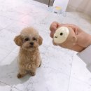 송이유치원 이미지