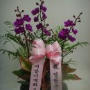 음성농협장례식장