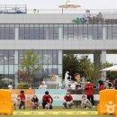 놀이터 반려견 미용실 이미지