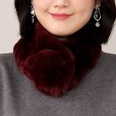 렉스 이미지