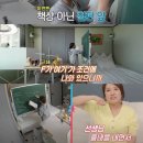 미래수