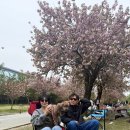 미사경정공원 이미지