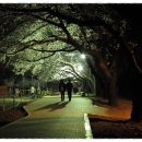 여좌천거리 이미지