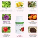 24FIT운동클럽 이미지