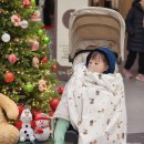 지니카 | 아기 트라이크 내돈내산 타보 트래블러 S2 유모카 장단점 및 솔직후기