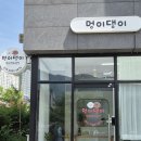 멍이댕이 펫미용 | [공지] 창원 멍이댕이 펫미용, 반려견 미용실 추천해요.