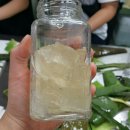 유기농라이프 이미지