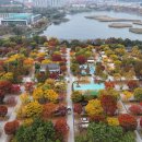 화랑오토캠핑장 이미지