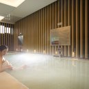 디 아넥스 이미지