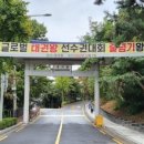 중앙한양대태권도 이미지