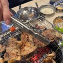 레트로닭