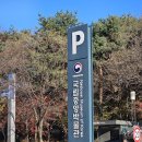 국립중앙박물관 전시 국중박 사유의방 , 그리스가 로마에게 로마가 그리스에게