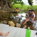 원동포시즌 이미지