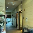 베스타뷔페 | 대전 프리미엄 뷔페 추천, 만년동 베스타 내돈내산 평일 점심 후기