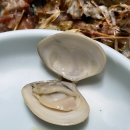 쉼터소주방 이미지