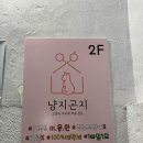 고양이무마취미용 냥지곤지 이미지