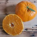 대성농원 이미지