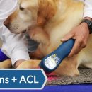 Vet PRO and My Pet Laser 이미지