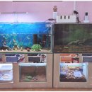 남선미유치원 이미지