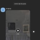 안다렙타일