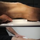 참진에너지 이미지