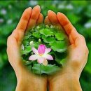 소나무 철물점 이미지