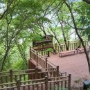 천마산10리길 이미지