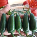 명지농장 이미지