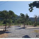 농산민박 이미지