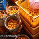 동서농장 이미지