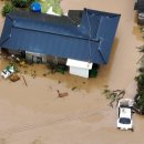 남천제방 이미지