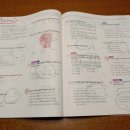 계룡중학교 이미지