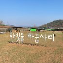하빛율빠꿈사리 | 전라도 고흥 여행 아이와 가볼만한곳 이색체험 양떼목장 하빛자연공작소/하빛율빠꿈사리