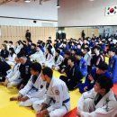 팀타이런트 유도 이미지