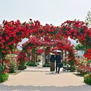 삼문동둔치주차장 이미지