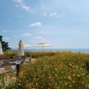 (주)아름글로벌 이미지