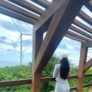 대게골한우 이미지