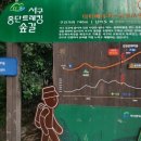 감정초교 이미지