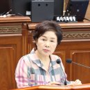 완월동137 이미지