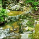 맑은자리 이미지