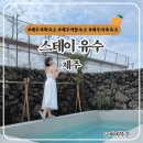 스테이 유수 이미지