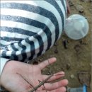 이야기속으로 이미지