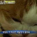 대보회수산 이미지