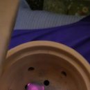 구미봉곡디톡